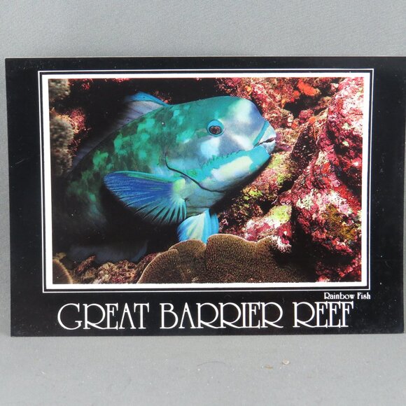 Vintage Postcard - Rainbow Fish Great Barrier Reef Australia - Peer Production - Picture 4 of 4